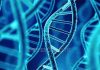 Tìm hiểu về ADN là gì và chức năng của nó