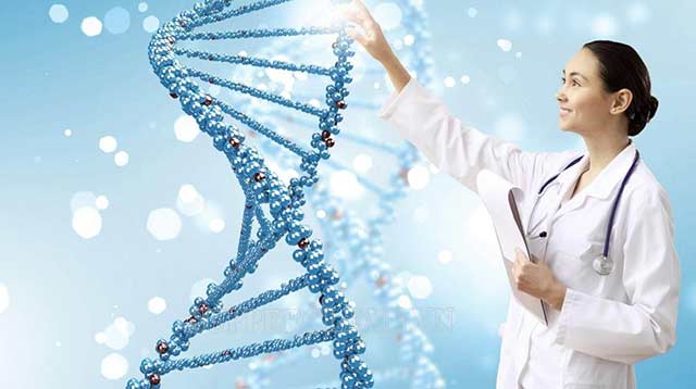 Ứng dụng của ADN trong đời sống là gì?